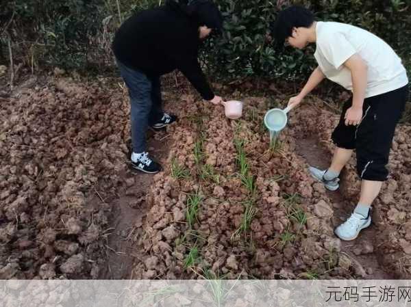 儿子耕种母亲的田地叫什么名字:1. 儿子耕种母亲田地的背后故事