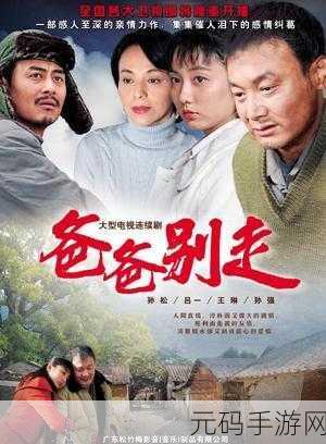 姑父有力挺送小芳的演员表：姑父有力挺送小芳：亲情与梦想交织的感人故事