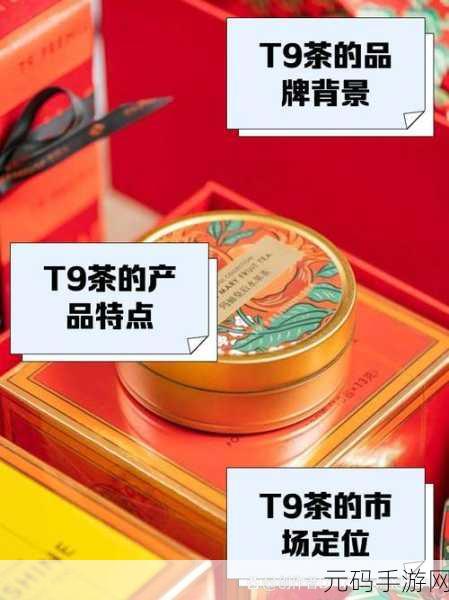 九色9t9t9：1. 探索九色9t9t9的独特魅力与文化内涵