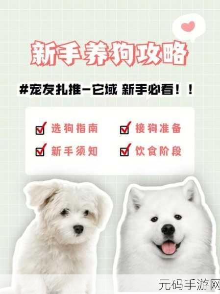 牧场ZOOMSERVO兽狗购买：1. 深入了解ZOOMSERVO兽狗的购买指南与使用体验