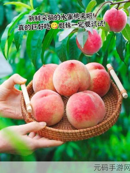 久久夜精品水蜜桃：1. 水蜜桃的魅力：久久夜精品带你畅享美味