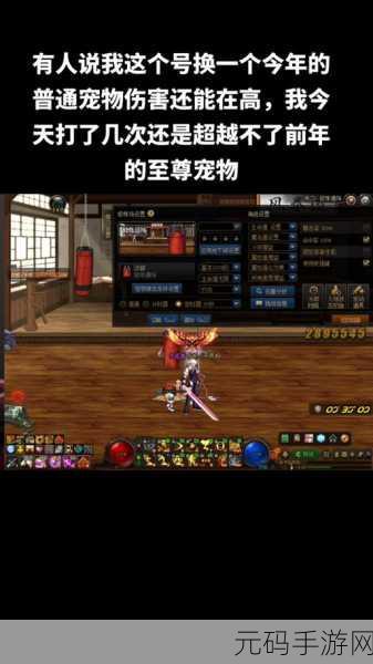 DNF2020 春节套至尊宠物深度剖析,实力与魅力并存