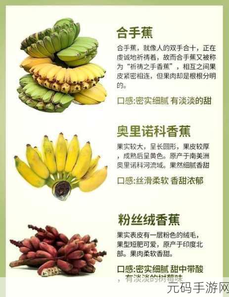 999香蕉视频：1. 999香蕉视频：探索甜蜜与幽默的奇妙旅程