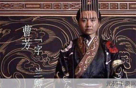 鸿图之下曹彰深度剖析,魏国国家队的关键力量