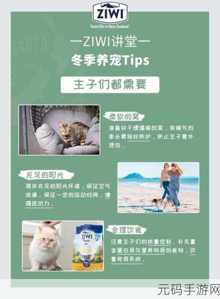 萌宠乐园新纪元,萌猫成长游戏上线,云养猫咪也能赚外快!