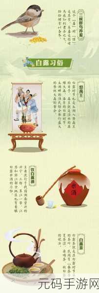 白露遗器选择：1. 白露遗器：探寻古文明的文化瑰宝