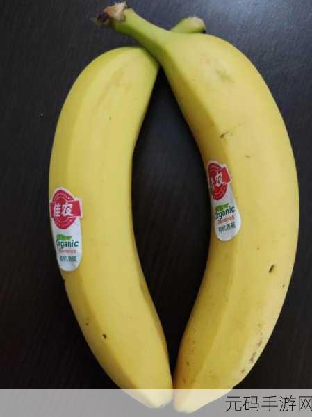 香蕉视频2023:1. 《香蕉视频:探索2023年最热影视潮流