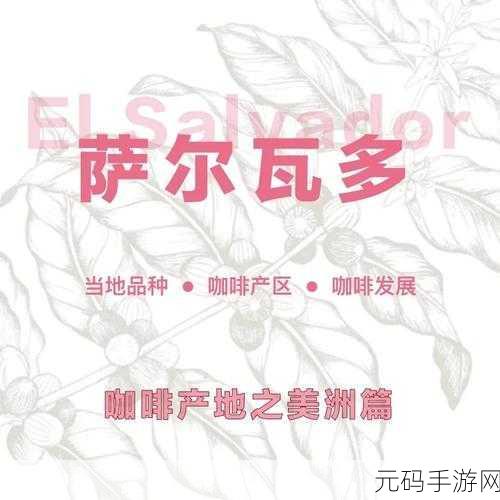 98精产国品一二三产区区：1. ＂98精产国品一二三产区的全新市场拓展策略