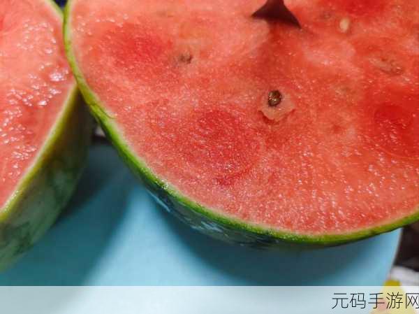 51热门大瓜今日大瓜2024:1. 2024年热门大瓜盘点:最新八卦一网打尽