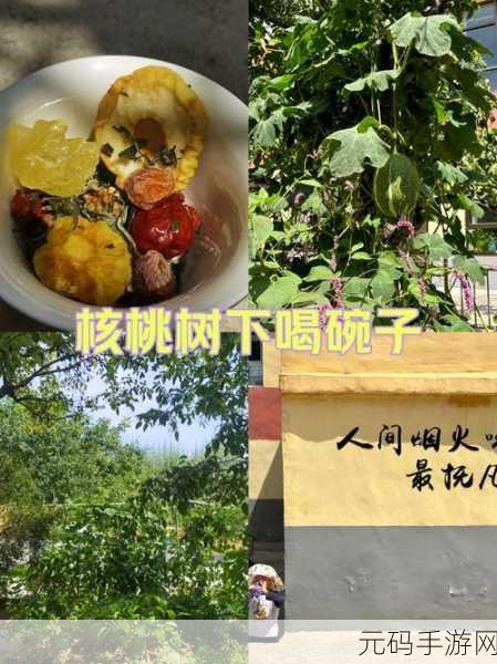 51热门大瓜今日大瓜2024:1. 2024年热门大瓜盘点:最新八卦一网打尽