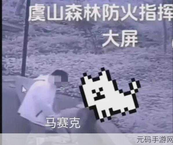 拔萝卜打牌不盖被子：1. 拔萝卜打牌不盖被子，欢声笑语不断