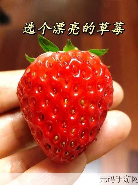 草莓视频软件下载:1. 草莓视频下载:畅享高清影视的全新体验