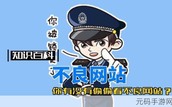 不良网站下载软件进入窗口：不良网站软件下载风险及防范策略探讨