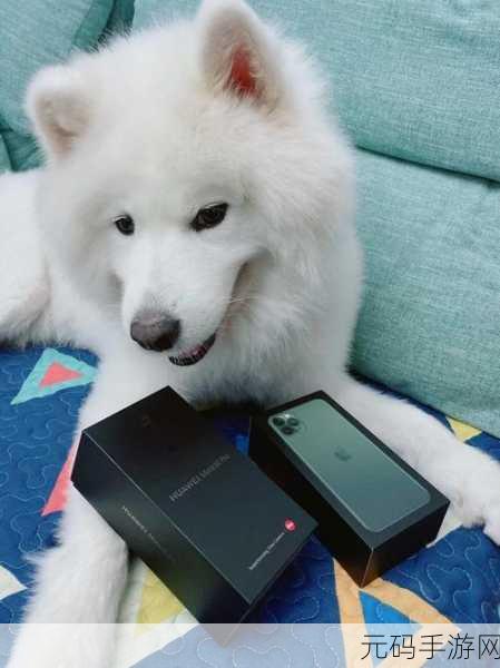 国产色带天堂max：当然可以，以下是一些基于“国产色带天堂max”拓展出的新标题建议：