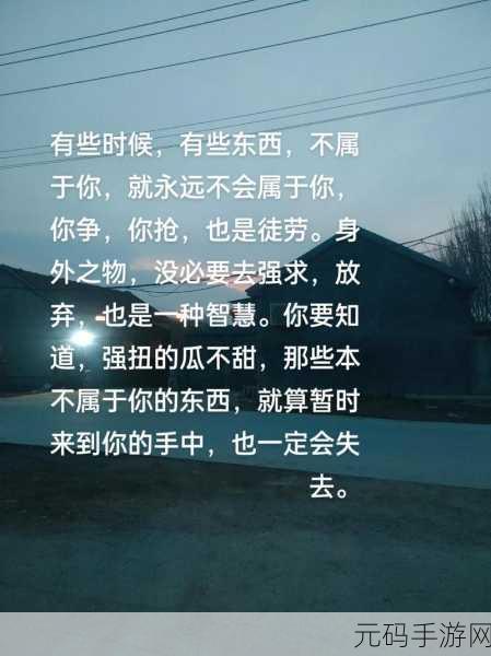 yw永不失国际2024:1. 永不失国际2024:展望未来的无限可能
