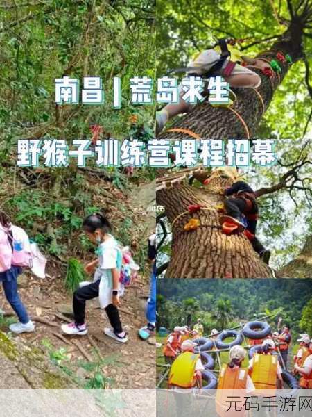 猴子绳索大冒险，趣味性十足的休闲闯关游戏等你来挑战！