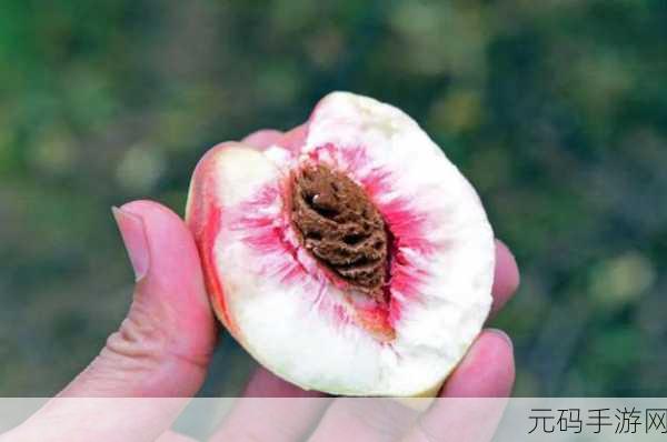 草莓无码视频:1. 草莓的甜蜜诱惑:尝遍夏日鲜果