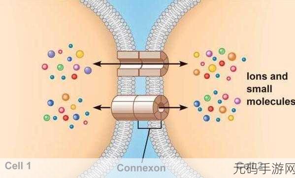 细胞连接下载热潮，数字匹配游戏引领休闲益智新风潮
