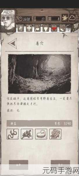 荒野日记兑换：1. 荒野日记：探索生命的原始真谛
