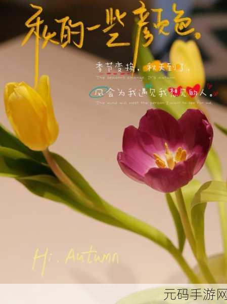 楼梯间的快乐你无法想象电视：1. 楼梯间的快乐：从小憩到心灵放松之旅