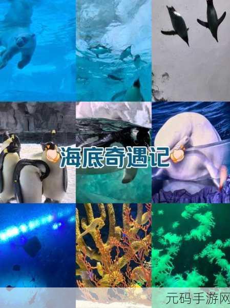 海底奇遇大冒险，撞个求无限星星下载热潮席卷而来