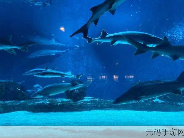 海底奇遇大冒险，撞个求无限星星下载热潮席卷而来