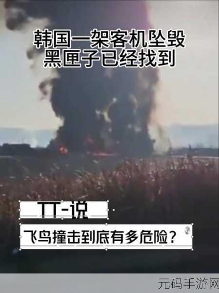 广西飞机失事黑匣子已经找到为什么不公开坠机原因:1. 广西飞机失事黑匣子已找到,为何真相迟迟未公开?