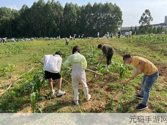 家庭岛感恩节庆典开启,清新农场等你来耕耘