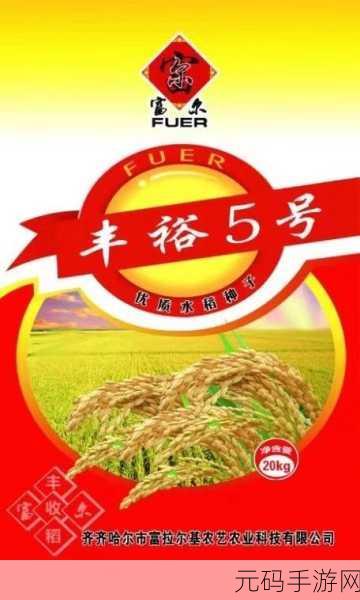 丰裕纵横场玉环258:1. 丰裕纵横场:探索玉环258的新机遇与挑战