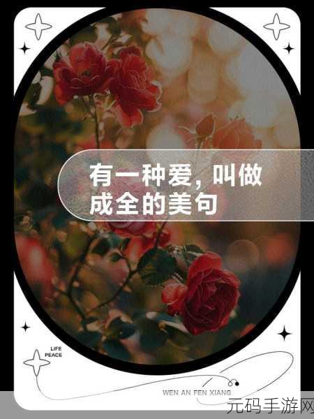成全高清免费与普通版对比：1. 成全高清免费与普通版差异解析：哪种更适合你？