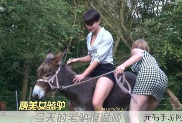 粗口小毛驴女喊麦叫什么：1. 《粗口小毛驴女的呐喊与热情