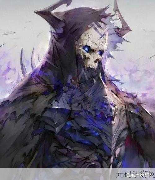 FGO 王哈桑，暗影王者的巅峰试炼与神秘篇章