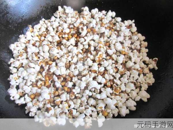 麻花豆:1. 麻花豆的魅力:如何在家庭聚会上闪耀