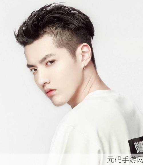吴亦凡:1. 吴亦凡的音乐之路:从偶像到创作人的蜕变
