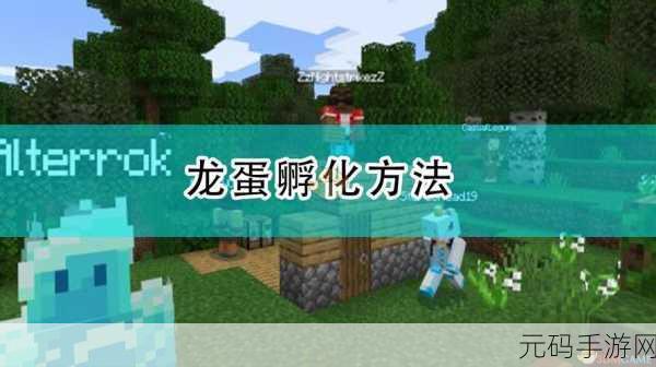 我的世界龙蛋全攻略,孵化、用处与拿取秘籍