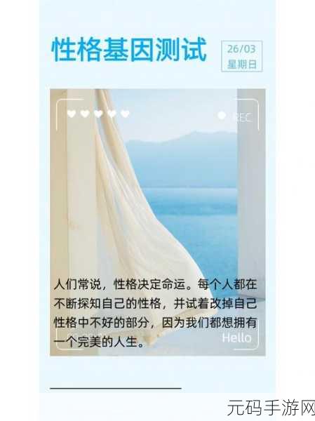 性格探索新纪元,性格诊断手游风靡全网,趣味测试等你来战