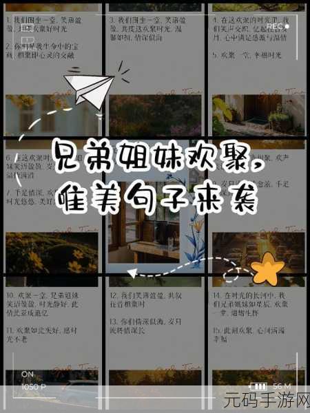 兄弟1v2前后：1. ＂兄弟情深：一对二的心灵角逐