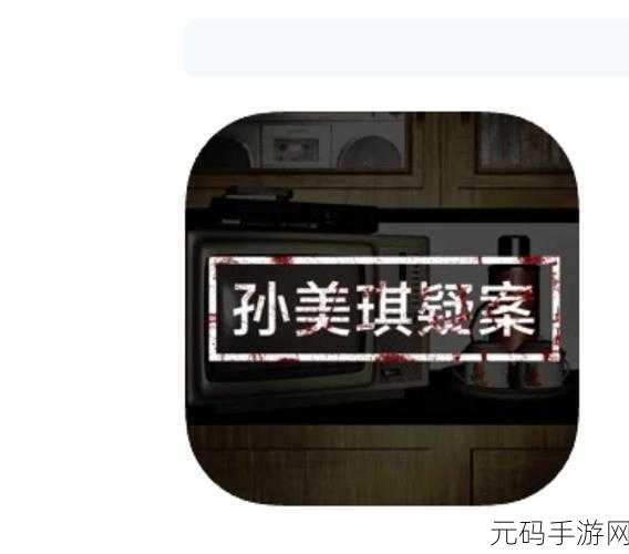 孙美琪疑案王勇，烧脑剧情带你领略解谜侦探推理新高度