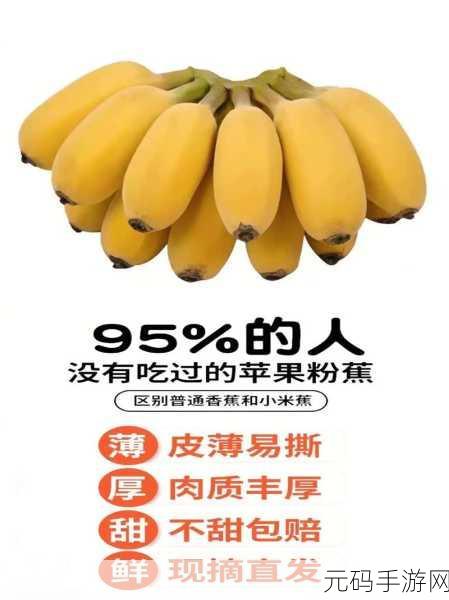 香蕉视频苹果视频：1. 香蕉与苹果：双重视频乐趣的完美结合
