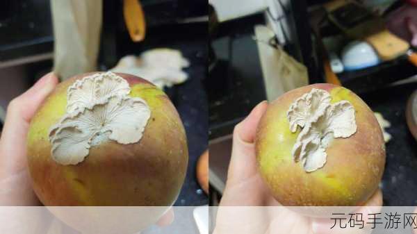 蘑菇视频吃瓜爆料：1. 蘑菇视频揭露惊天内幕，网友热议不断！