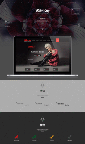 强弙the乀prO：以下是基于“强弙the乀prO”扩展出的新