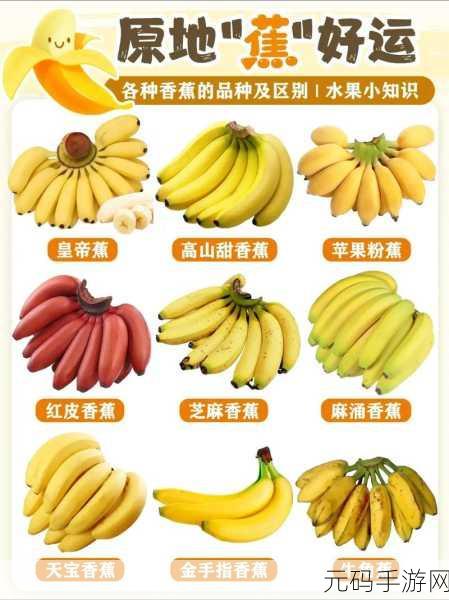 香蕉视频pp:当然可以!以下是一些基于“香蕉视频pp”的新标题建议:
