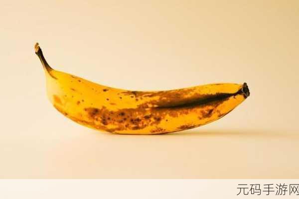 香蕉视频pp:当然可以!以下是一些基于“香蕉视频pp”的新标题建议: