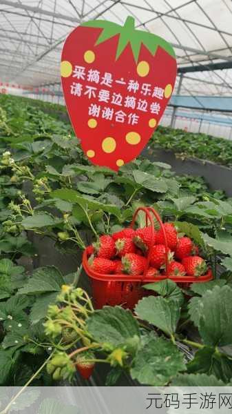草莓视频黄页:1. 草莓视频:探索无尽精彩与乐趣的世界