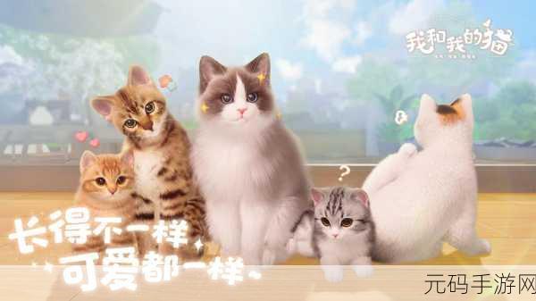 萌宠降临!我的宠物猫模拟器带你体验养猫乐趣与情感交织的奇妙之旅