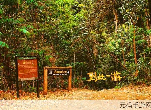 东南亚10一12仙踪林的旅游景点：1. 探寻东南亚神秘仙踪林的绝美自然之旅
