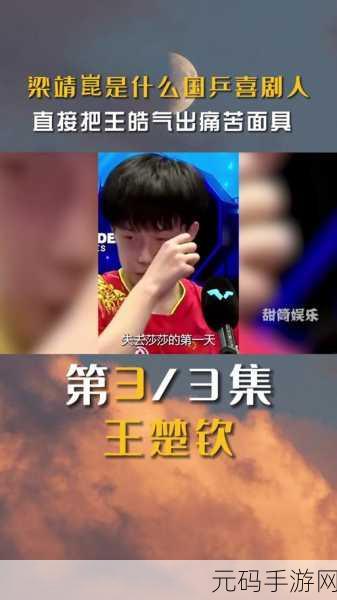 王楚钦为什么申请拆队了:王楚钦拆队背后的原因与未来展望