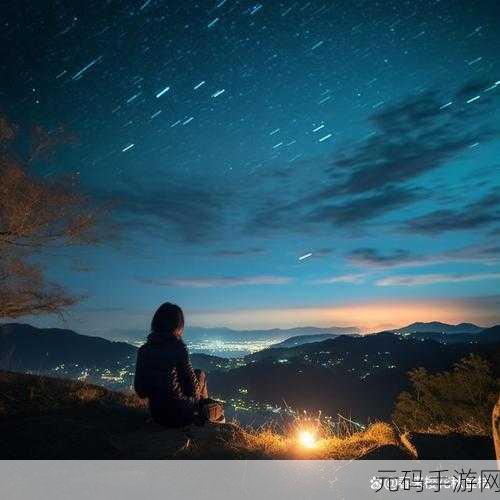wwww两个人片:1. 两个人在星空下的秘密约定