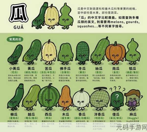 热大点瓜：1. 热大点瓜：夏季消暑的绝佳选择