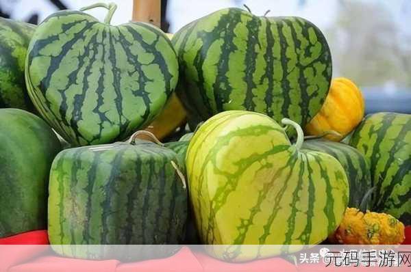 热大点瓜：1. 热大点瓜：夏季消暑的绝佳选择